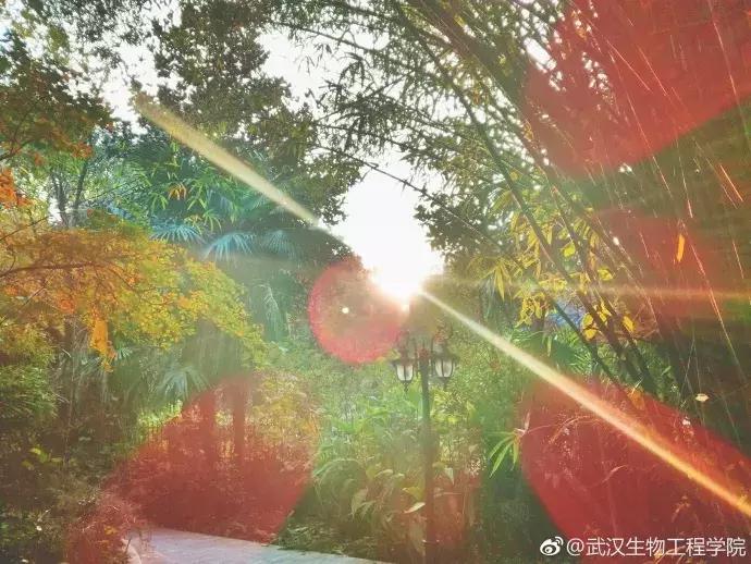 武汉地铁2号线游玩攻略沿线商圈,武汉地铁四号线哪里值得去玩