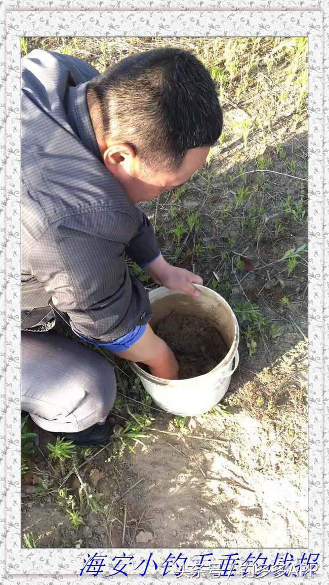 一年四季都可以钓的鱼种,一年四季可钓的鱼种