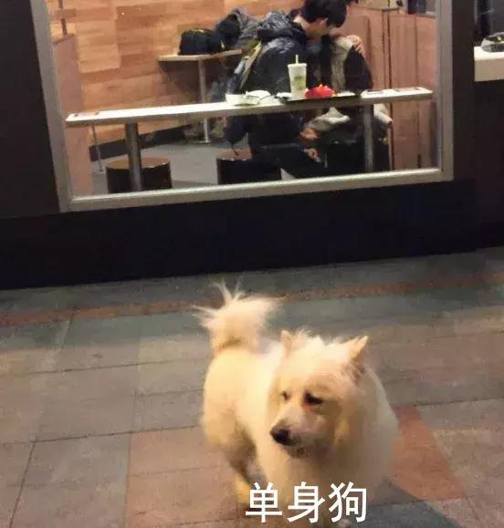 谢谢你们这么温暖，让我差点忘记了找男朋友！