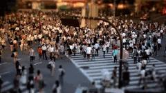 女王有您一条信息