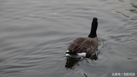 索尼fdr-ax700与微单对比,索尼sonyfdr-ax7004khdr测评