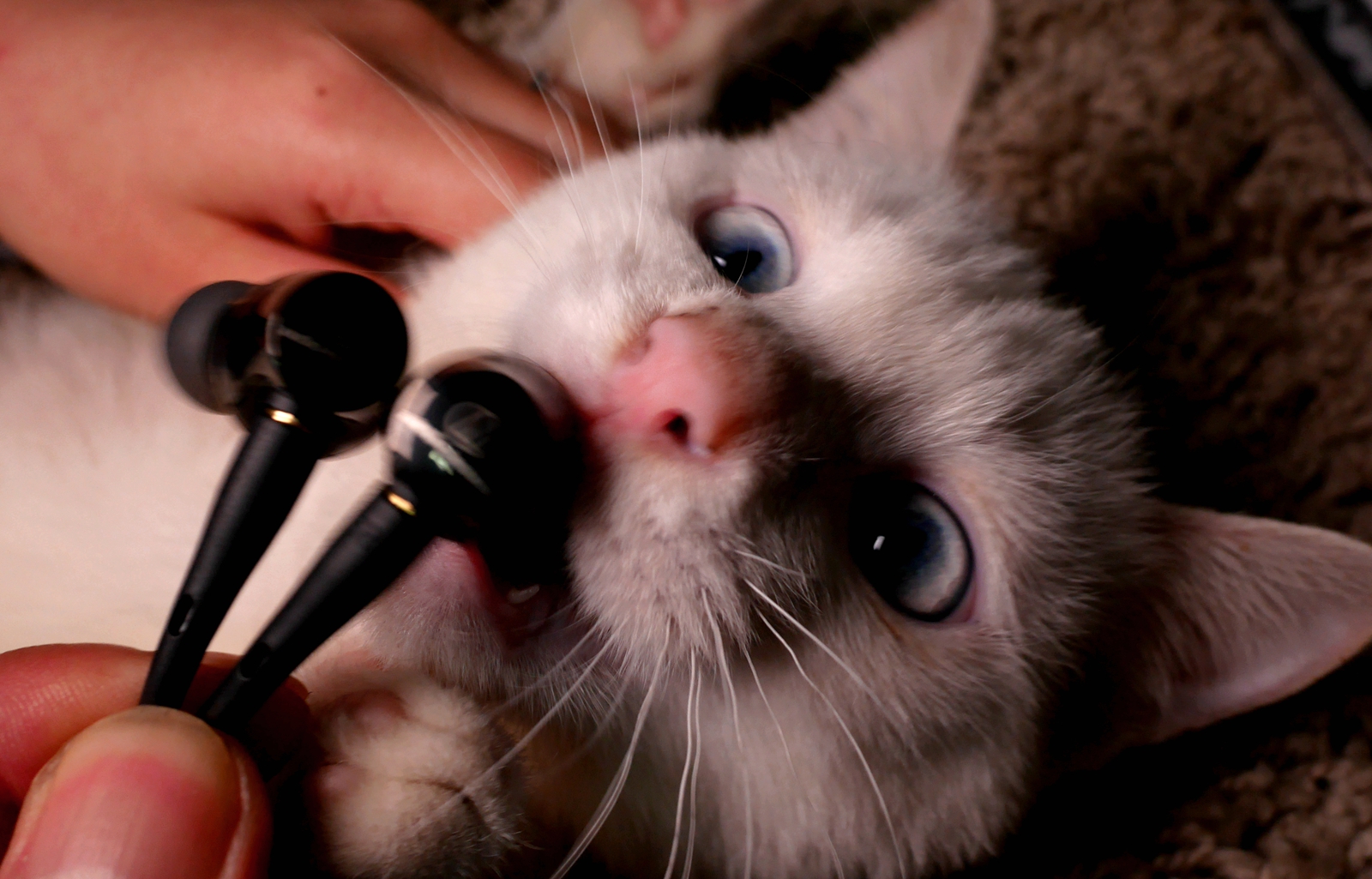 铁三角ckr100is啥时候发售,铁三角ckr100is耳机怎么样