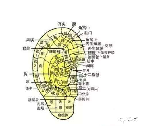 法令纹可以通过护肤品改善吗,有护肤手法真的能淡化法令纹吗