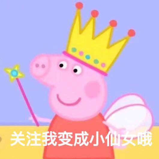 圣诞节限定套装清单,圣诞节必备套装