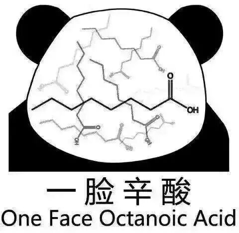 天津一姐姐带猴进宜家，人用餐具竟喂猴，素质呢！