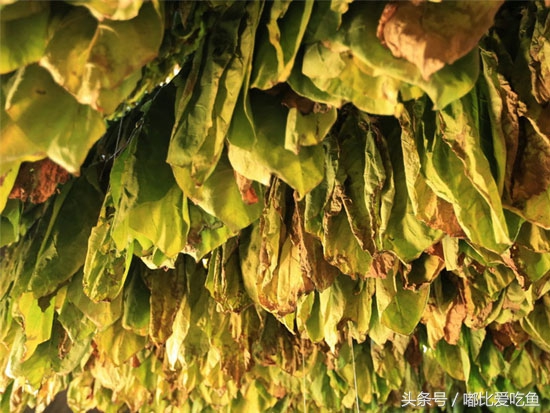 海南省十大特产海南有哪些特产海南著名特产排行榜