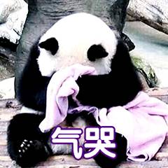 鍋囩潾姣涘彉鏍蜂簡瑙嗛,鍋囩潾姣涚幇鍦ㄥ彉鏍蜂簡