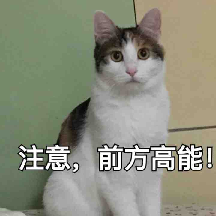 女王有您一条信息