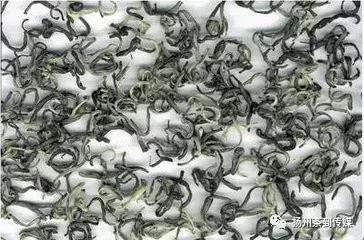 普洱茶产区茶树王,产自云南的名茶