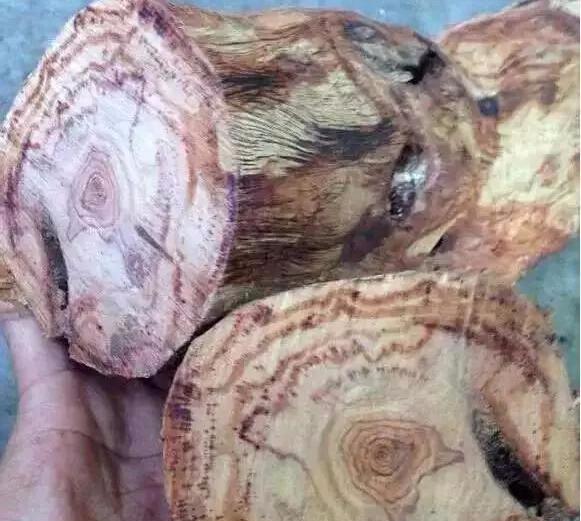 揭秘海南黄花梨,海南黄花梨是怎样才是真的