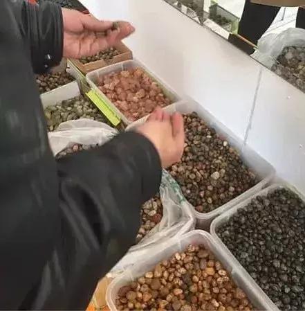 越“撸”越难,从一颗到一串,从一串到一箱,从……