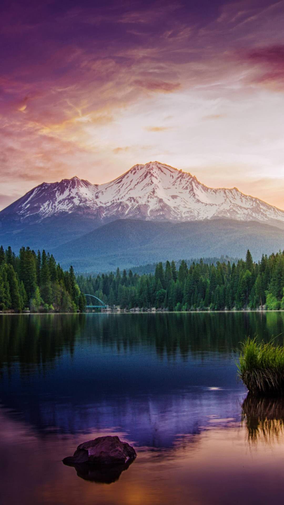 古代烹饪要哪些特殊调料,古人烧菜用什么香料