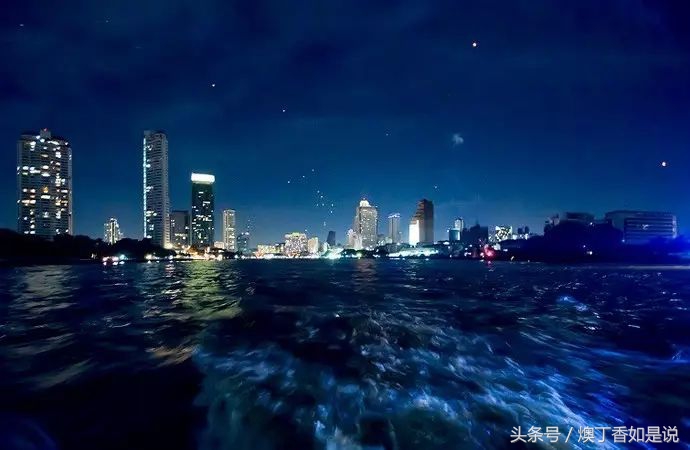 生存挑战热带雨林,生存挑战亚马逊丛林