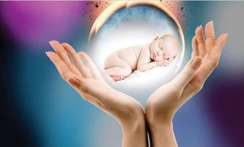 辅助生殖技术——试管婴儿