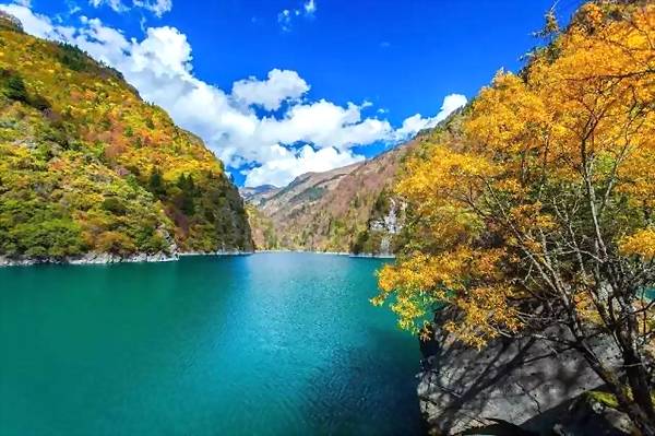 古代烹饪要哪些特殊调料,古人烧菜用什么香料