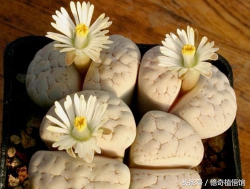 那些年，让*欲人**罢不能的屁屁！美呆了！