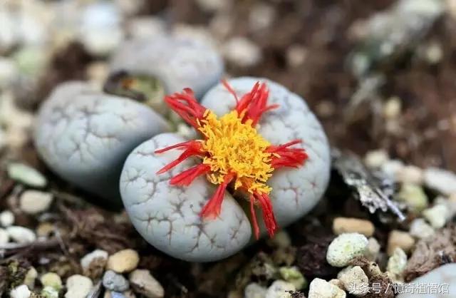 那些年，让*欲人**罢不能的屁屁！美呆了！