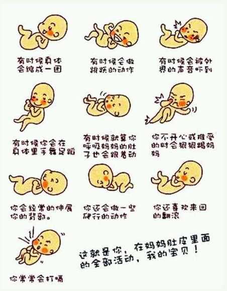 这些胎动知识，可以让你掌握胎儿的发育情况，看完不后悔