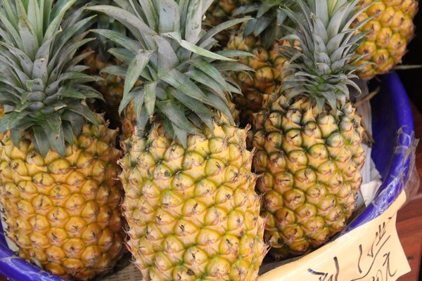 去三亚带什么特产好一点,三亚旅游有什么特产可以带回来