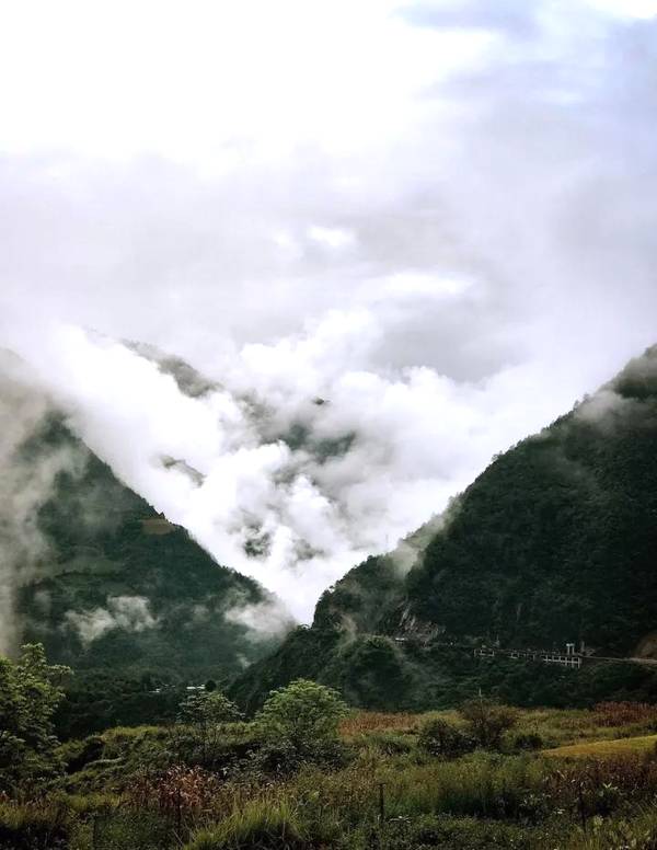 古代烹饪要哪些特殊调料,古人烧菜用什么香料