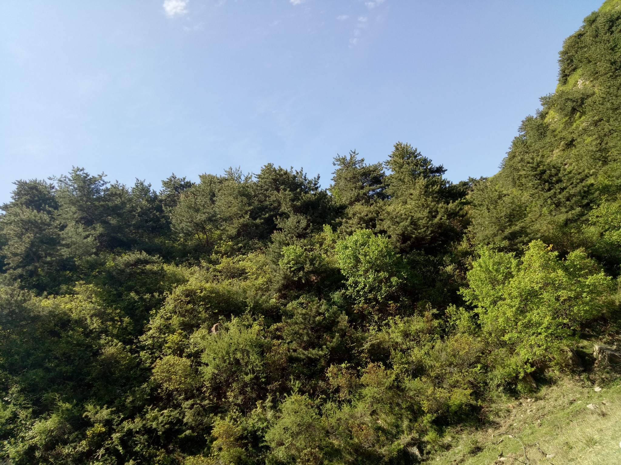 寻访北寨——高崖底、上城南、下城南、阎家寨、杏花庄