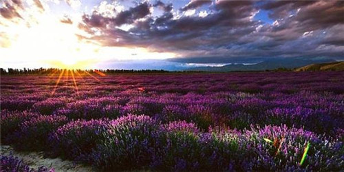 大连景点有哪些好玩的地方,大连福佳新天地好玩的地方