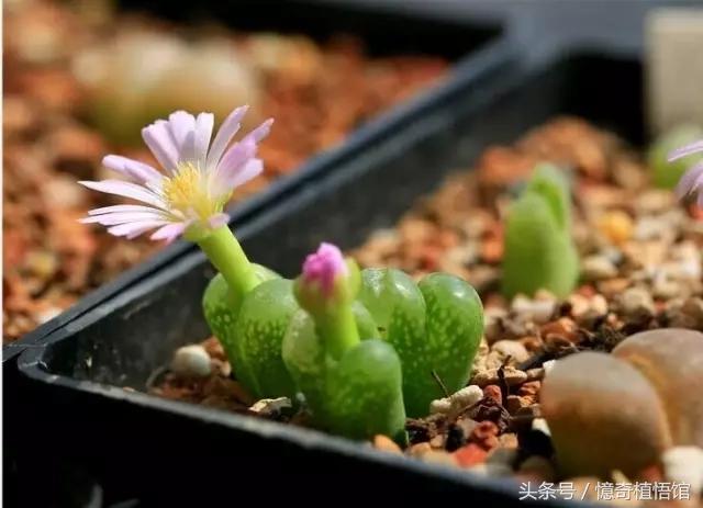 那些年，让*欲人**罢不能的屁屁！美呆了！