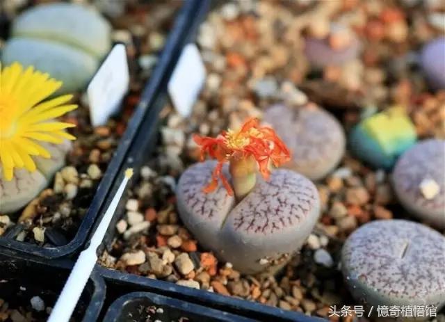 那些年，让*欲人**罢不能的屁屁！美呆了！