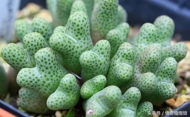 那些年，让*欲人**罢不能的屁屁！美呆了！