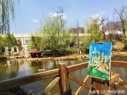 昆十怎么样,昆十中教学质量如何