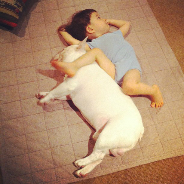 狗狗感冒了可以用小儿感冒颗粒吗,狗狗感冒症状和治疗方法