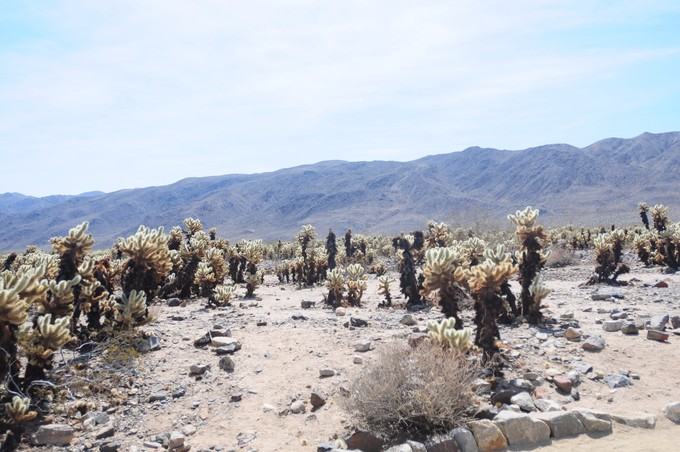 美西旅游攻略2月,美西小环线旅游攻略