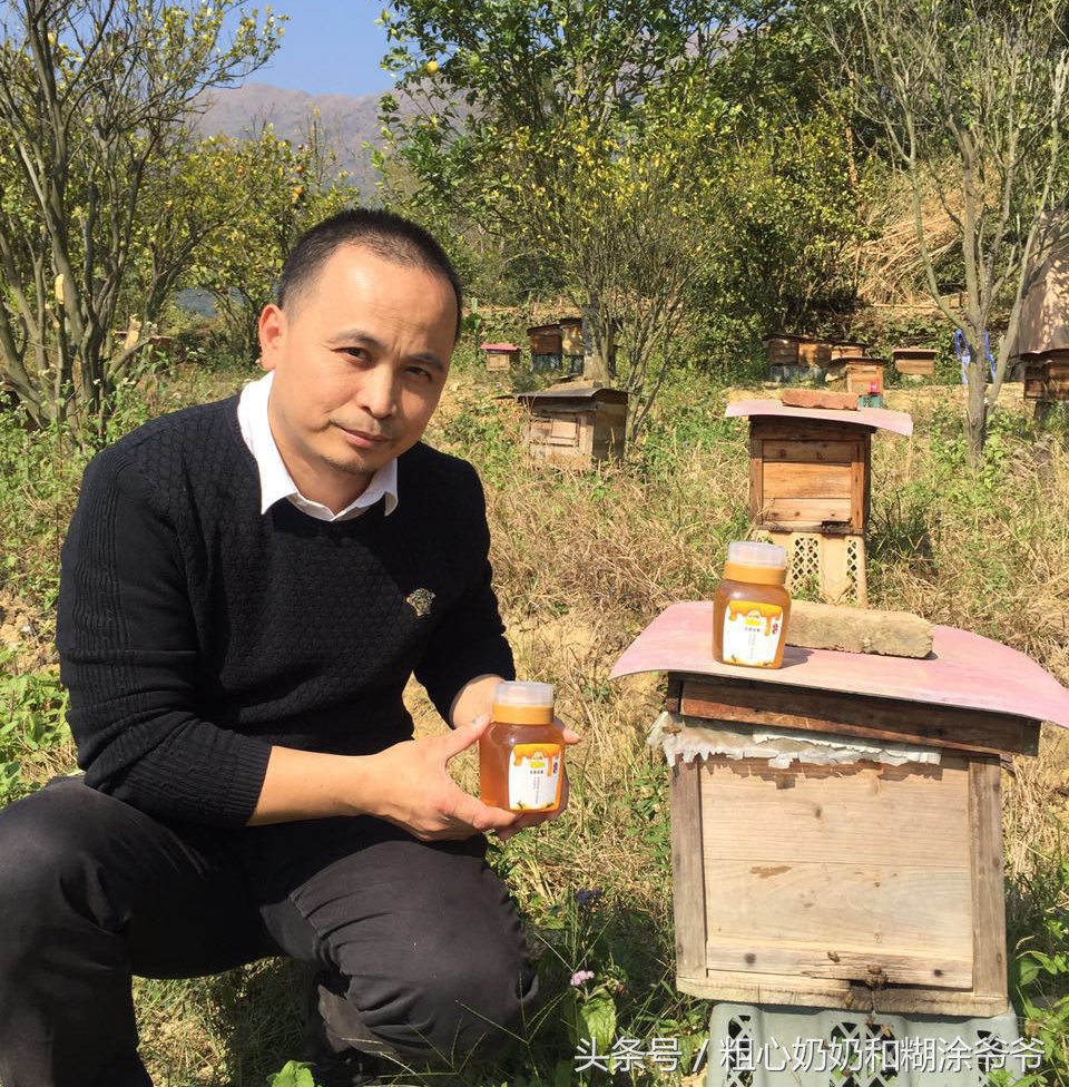原生态土蜂鸭脚木冬蜜,土蜂鸭脚木冬蜜价格表