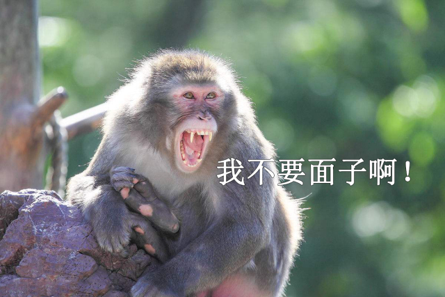 天津一姐姐带猴进宜家，人用餐具竟喂猴，素质呢！