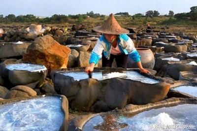海南省十大特产海南有哪些特产海南著名特产排行榜