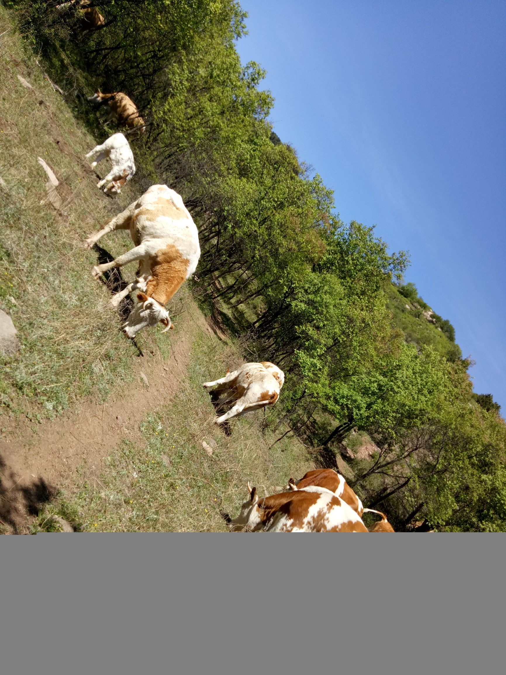 寻访北寨——高崖底、上城南、下城南、阎家寨、杏花庄