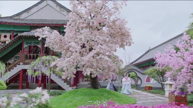 鍋囩潾姣涘彉鏍蜂簡瑙嗛,鍋囩潾姣涚幇鍦ㄥ彉鏍蜂簡