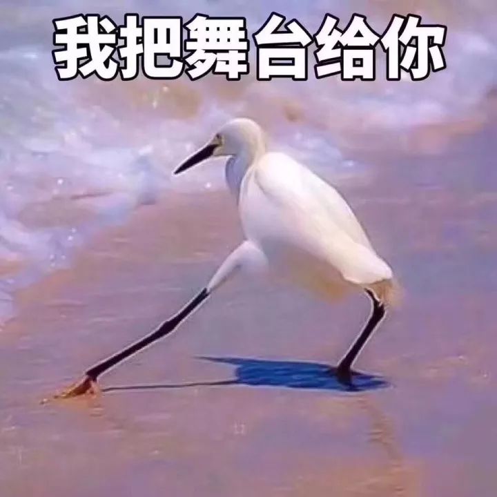 鍋囩潾姣涘彉鏍蜂簡瑙嗛,鍋囩潾姣涚幇鍦ㄥ彉鏍蜂簡