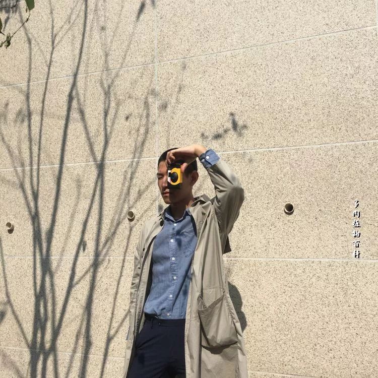 与多肉作伴,与多肉相伴的视频