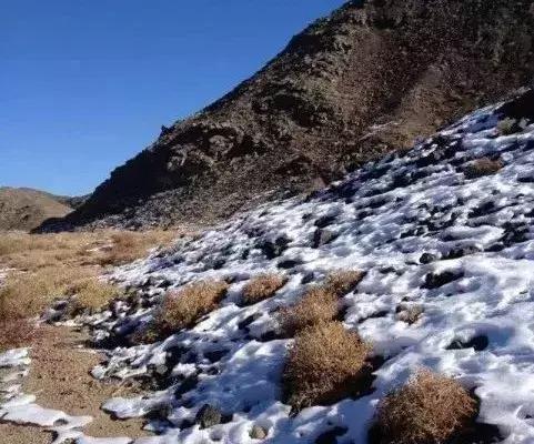 越“撸”越难,从一颗到一串,从一串到一箱,从……