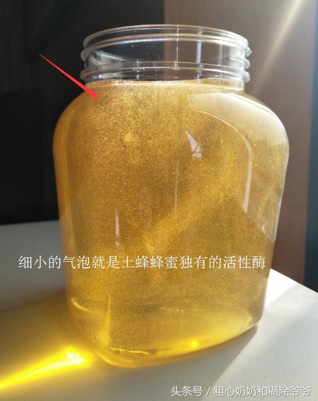 原生态土蜂鸭脚木冬蜜,土蜂鸭脚木冬蜜价格表