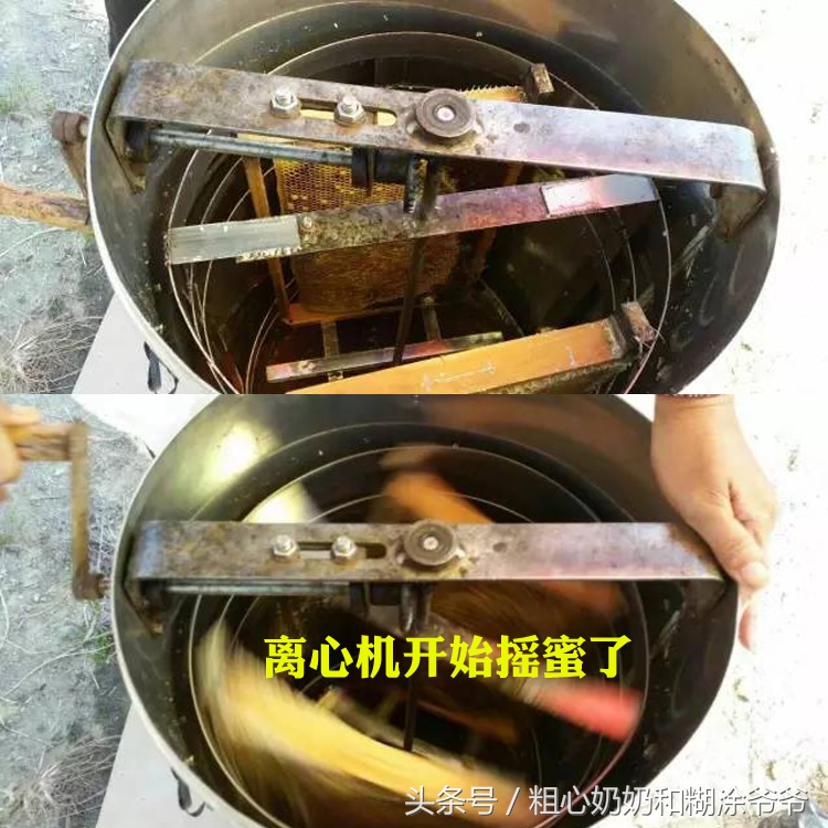 原生态土蜂鸭脚木冬蜜,土蜂鸭脚木冬蜜价格表