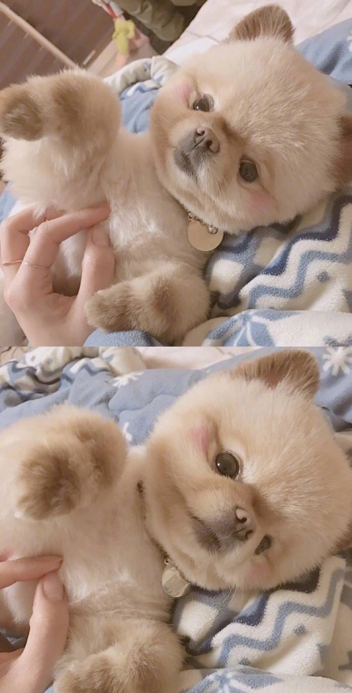 壁纸爱是什么,壁纸何为爱情