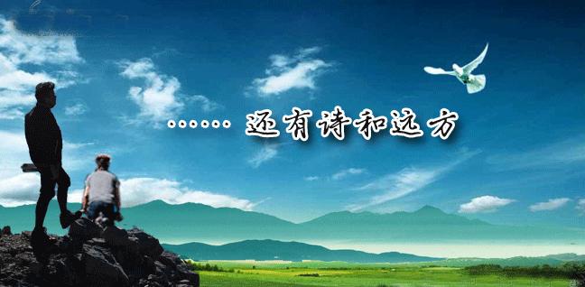 爱是痴,恋作歌!