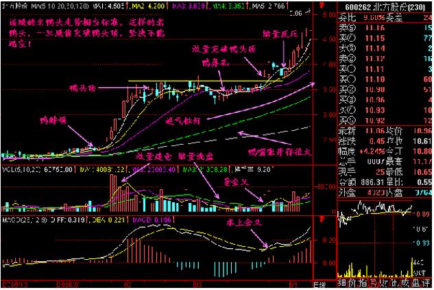 万能均线选股的技巧,万能均线选股秘诀