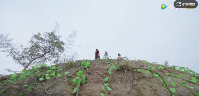 鍋囩潾姣涘彉鏍蜂簡瑙嗛,鍋囩潾姣涚幇鍦ㄥ彉鏍蜂簡