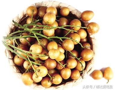 海南省十大特产海南有哪些特产海南著名特产排行榜