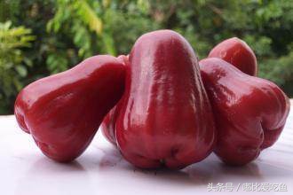 海南省十大特产海南有哪些特产海南著名特产排行榜