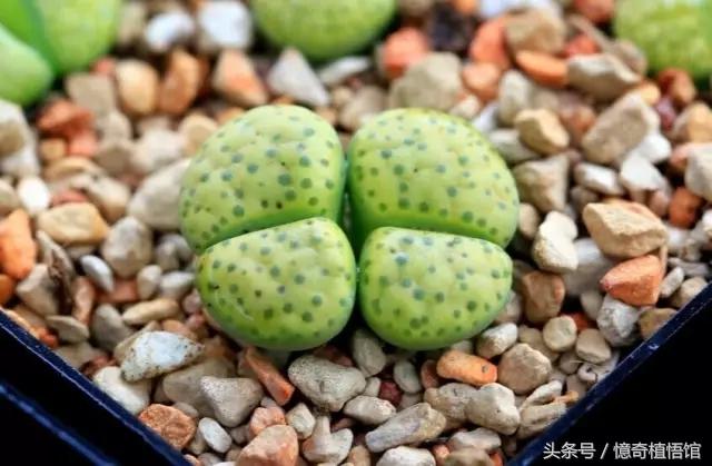 那些年，让*欲人**罢不能的屁屁！美呆了！