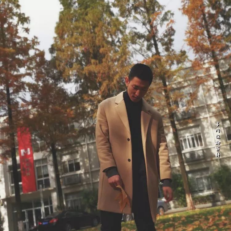 与多肉作伴,与多肉相伴的视频